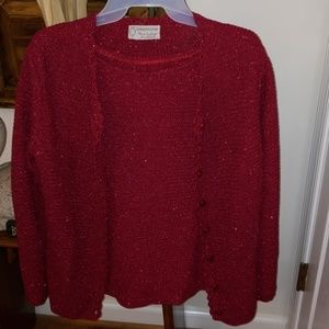 Beautiful red sparkling sweater set